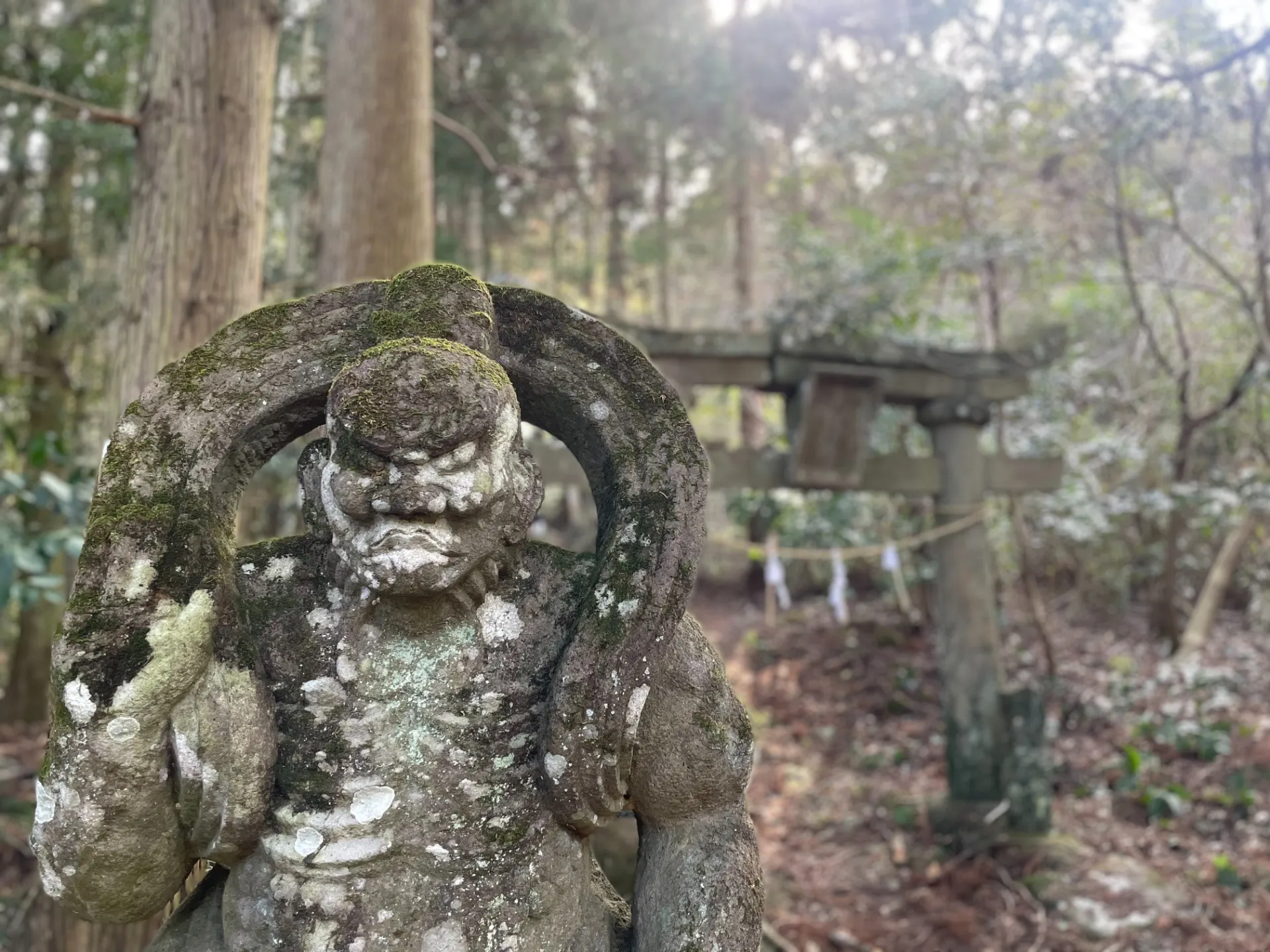 森の思考｜vol.35 「清浄」な社会が失ったもの − 鬼（他者）を内包するレジリエンス